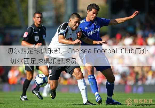 切尔西足球俱乐部，Chelsea Football Club简介  切尔西足球俱乐部球员