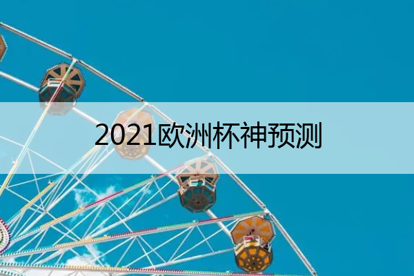 豪华阵容首先他们拥有像范佩西、罗本、范尼斯特鲁伊等已经声明大造的球员